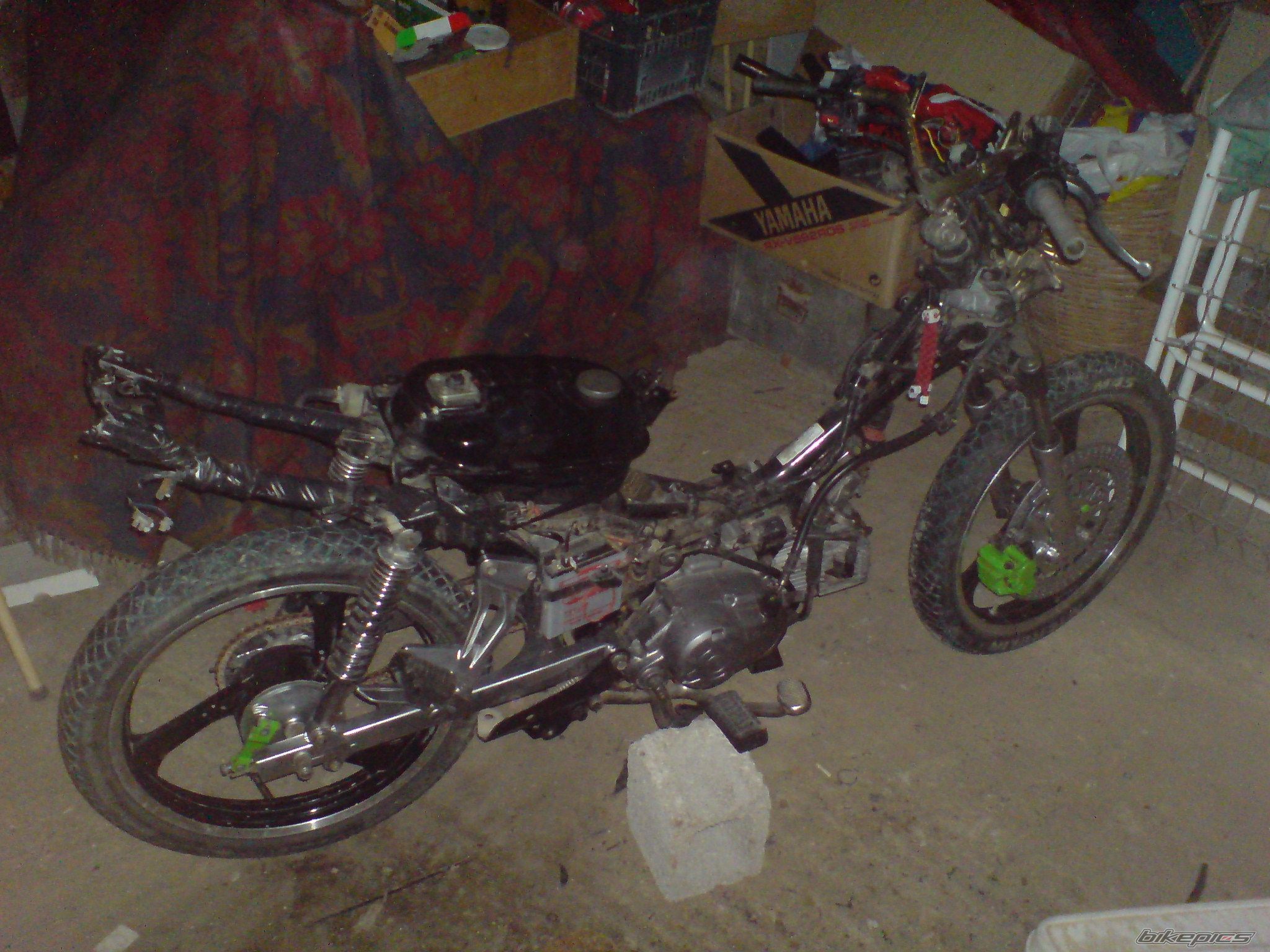 Photo 1648052