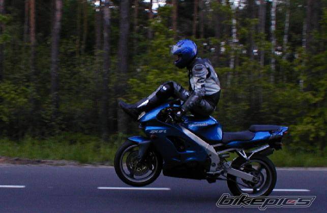 Photo 164810