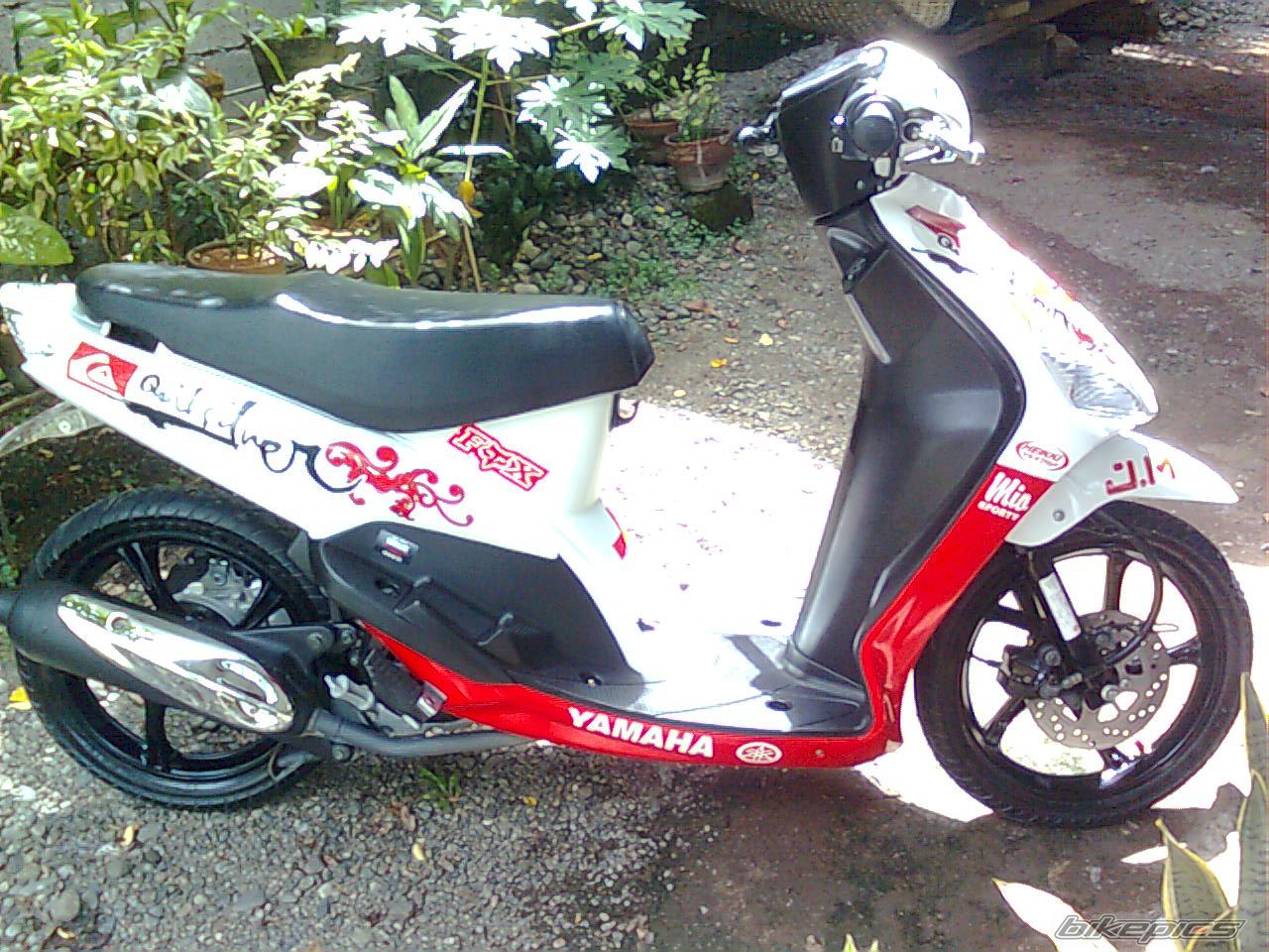 Bike Photo 1648224