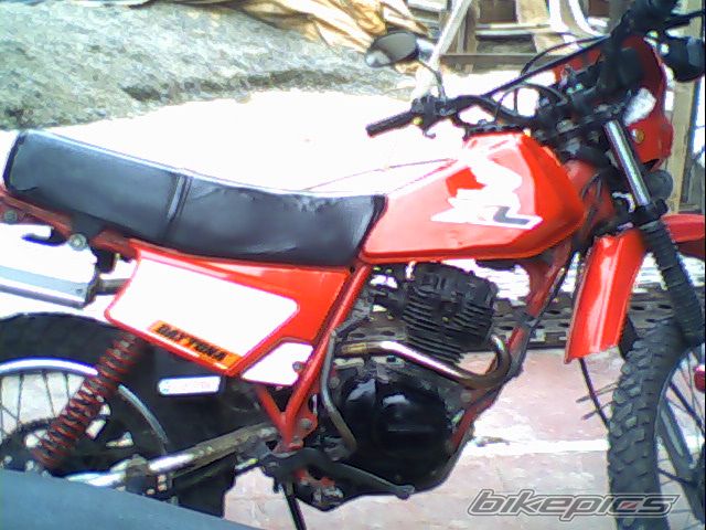Photo 1648227