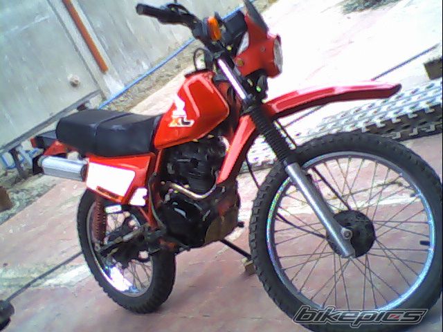 Photo 1648229