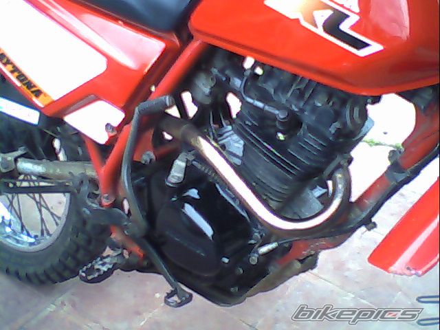 Bike Photo 1648230