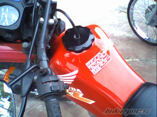 Photo 1648232