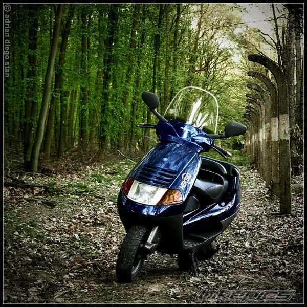 Bike Photo 1648238