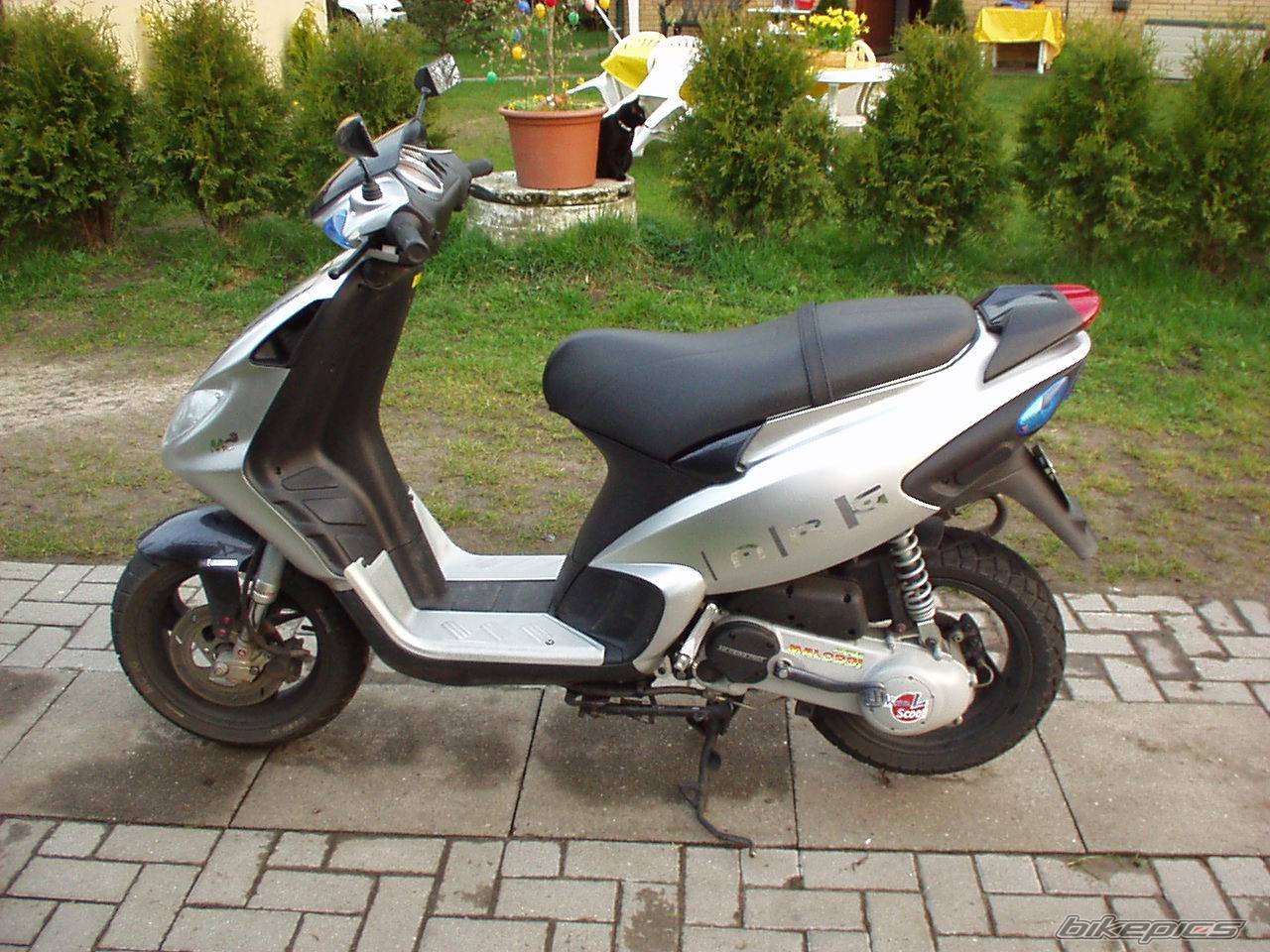 Photo 164824