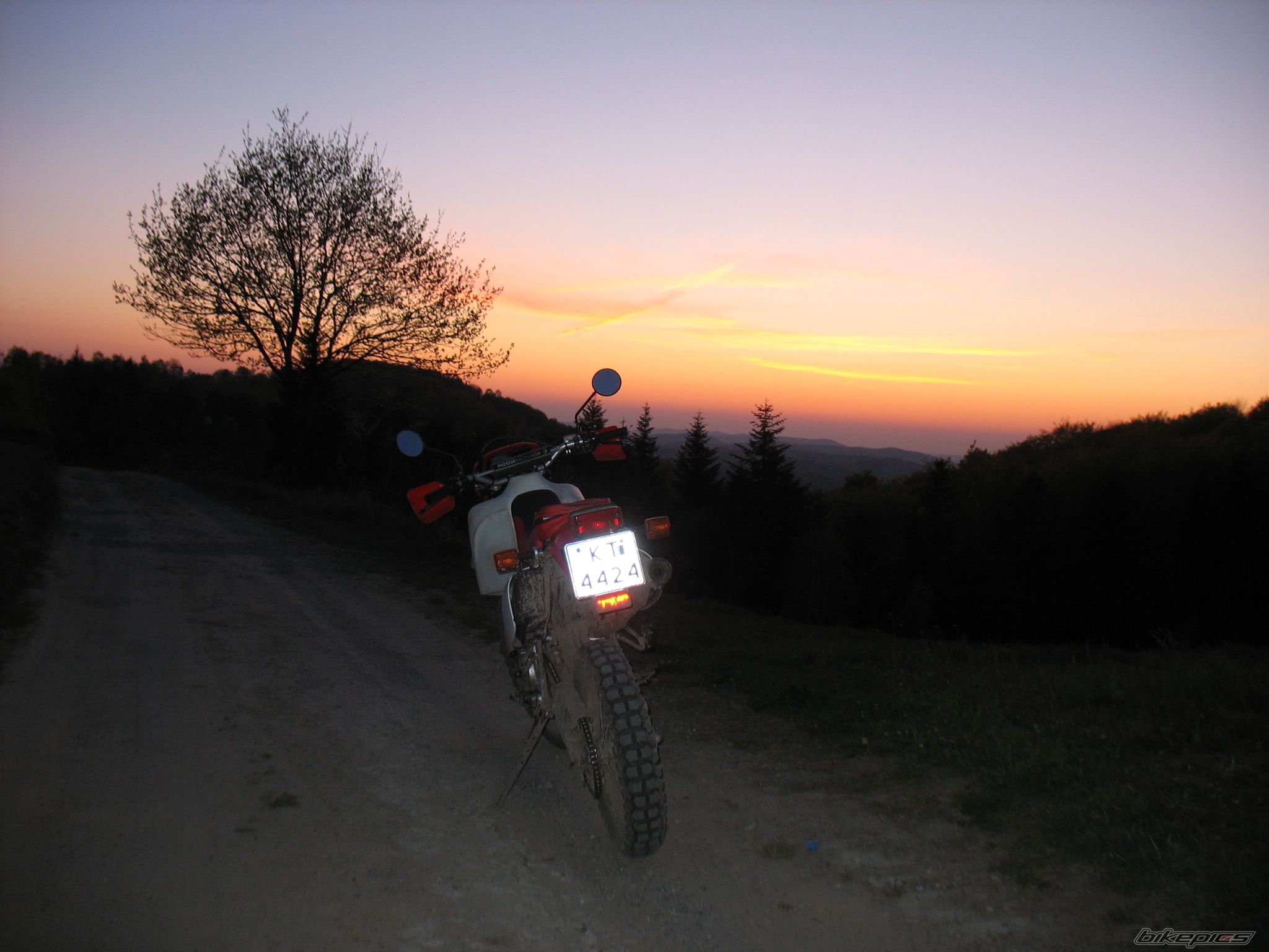 Bike Photo 1648255