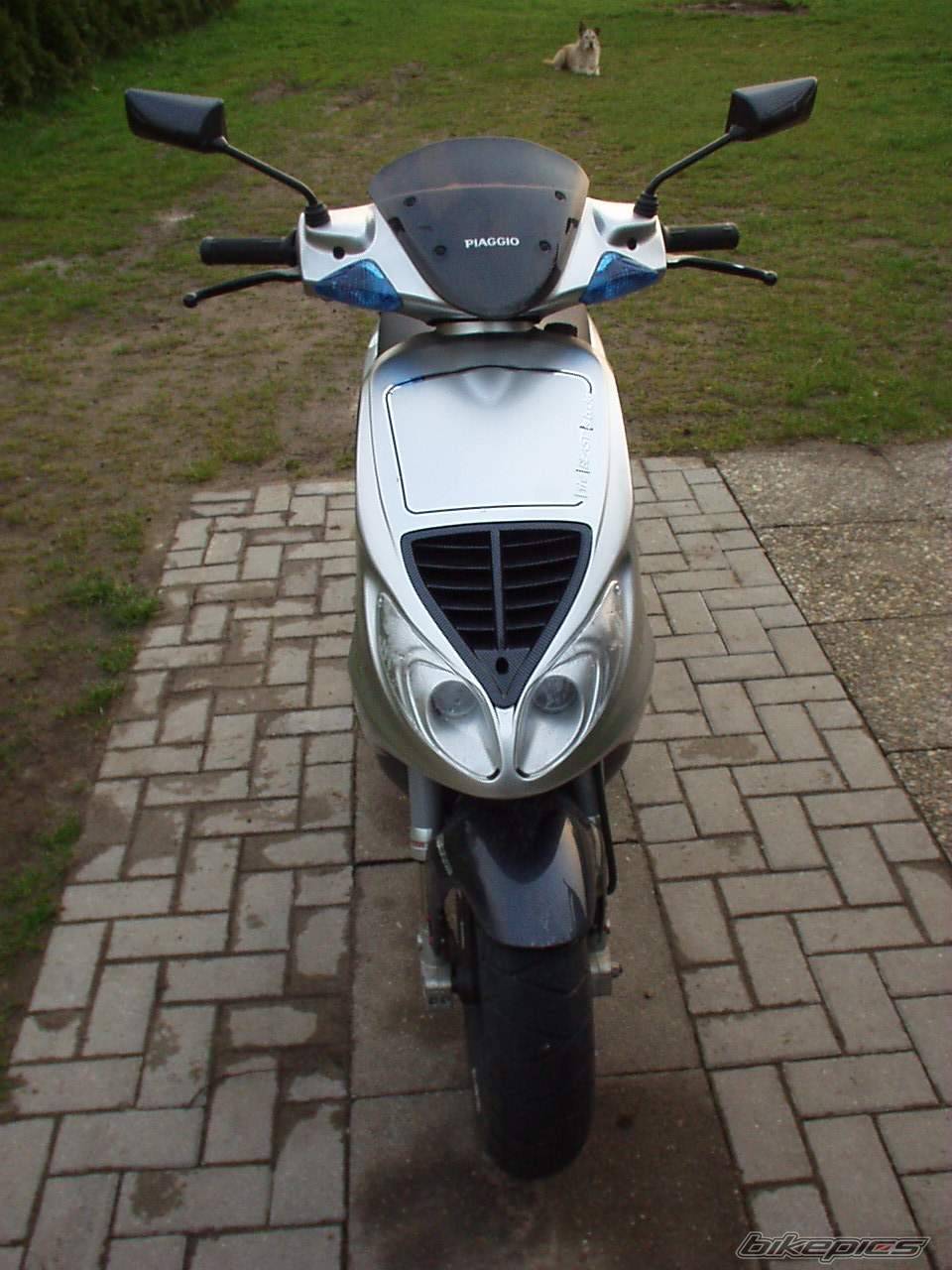 Photo 164826