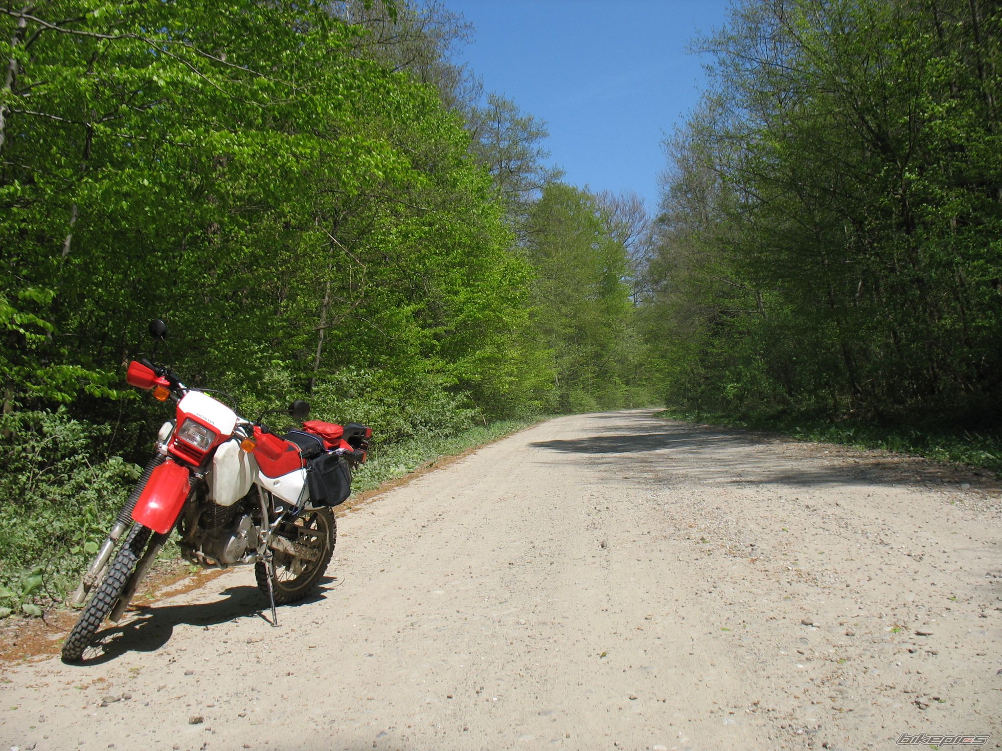 Bike Photo 1648266