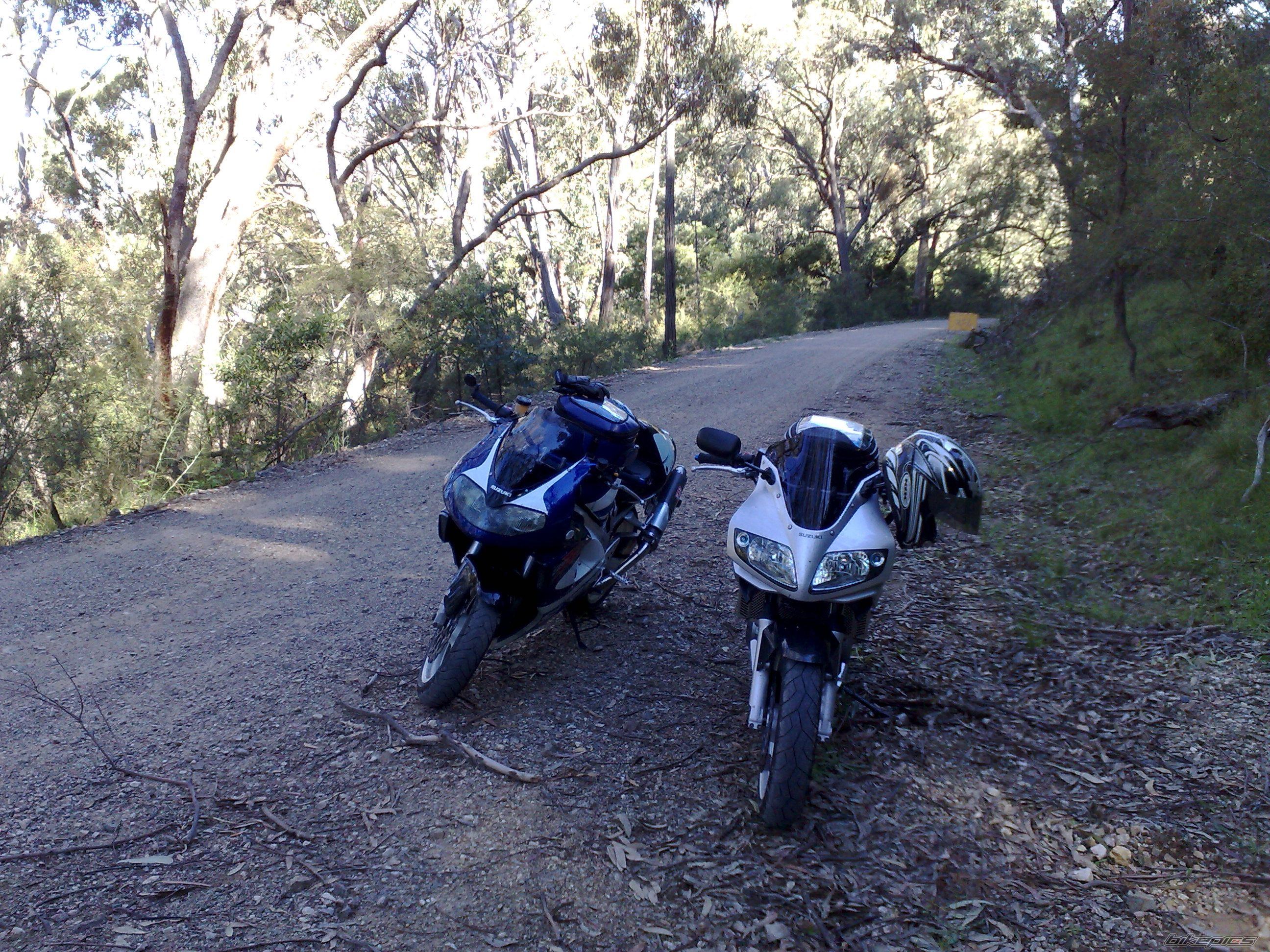 Photo 1648269