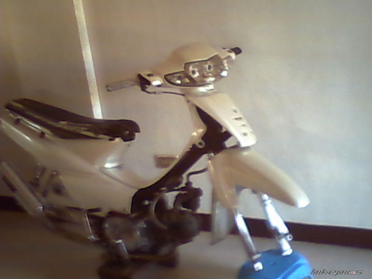 Photo 1648315