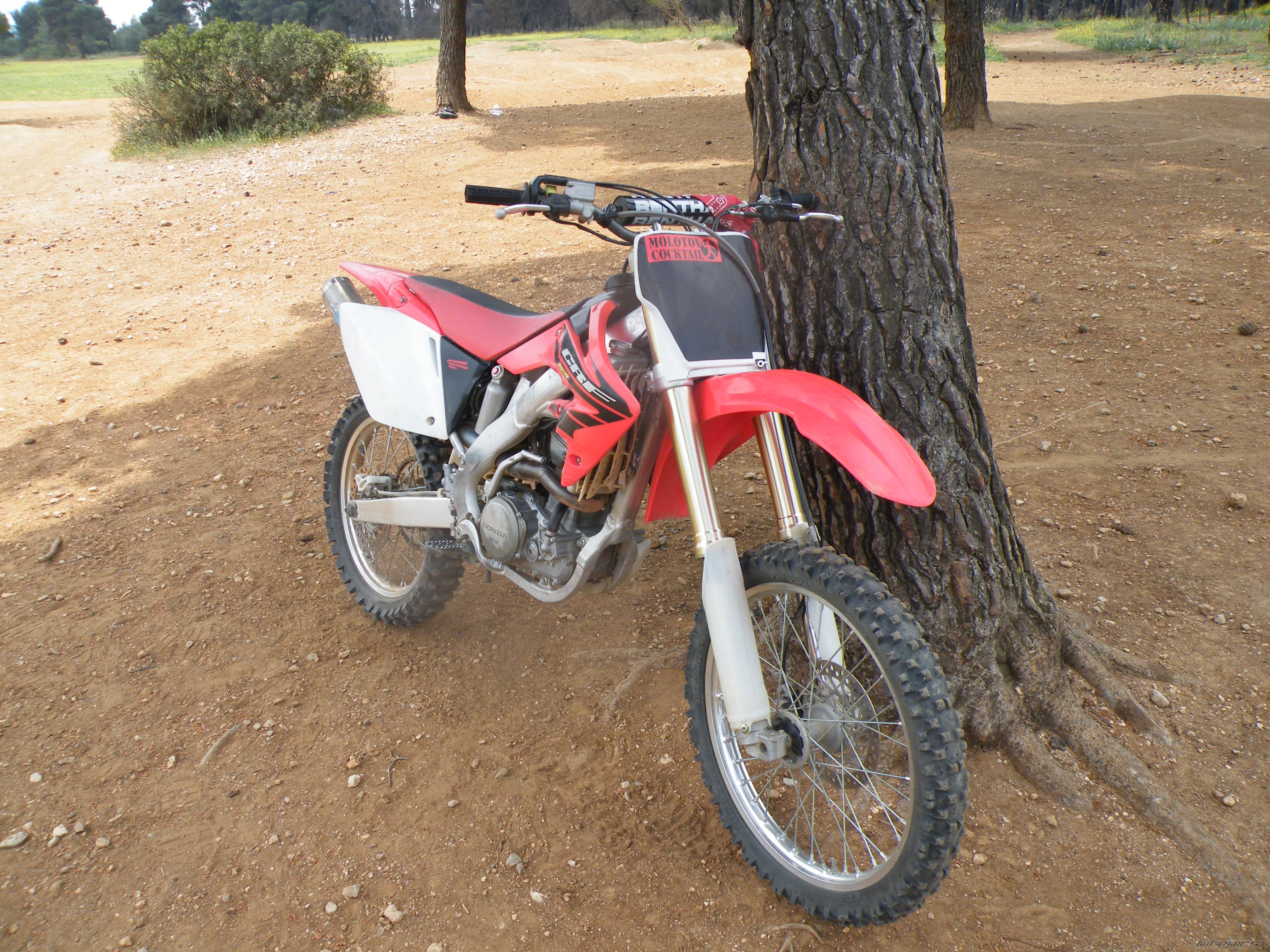 Photo 1648431