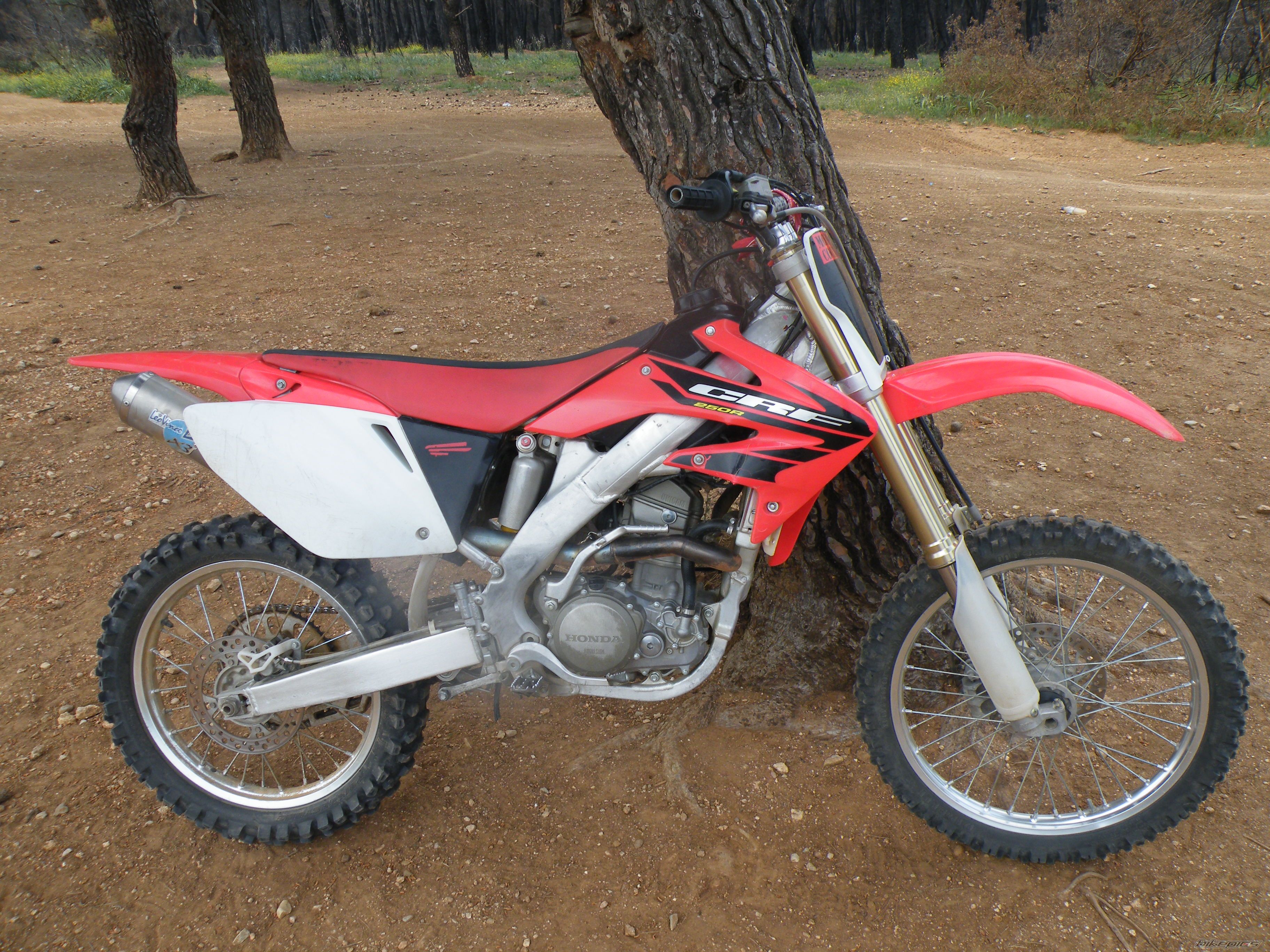 Photo 1648433