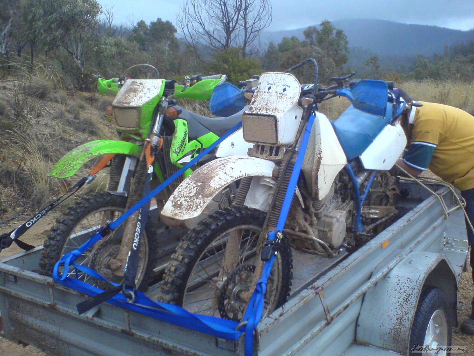 Photo 1648435