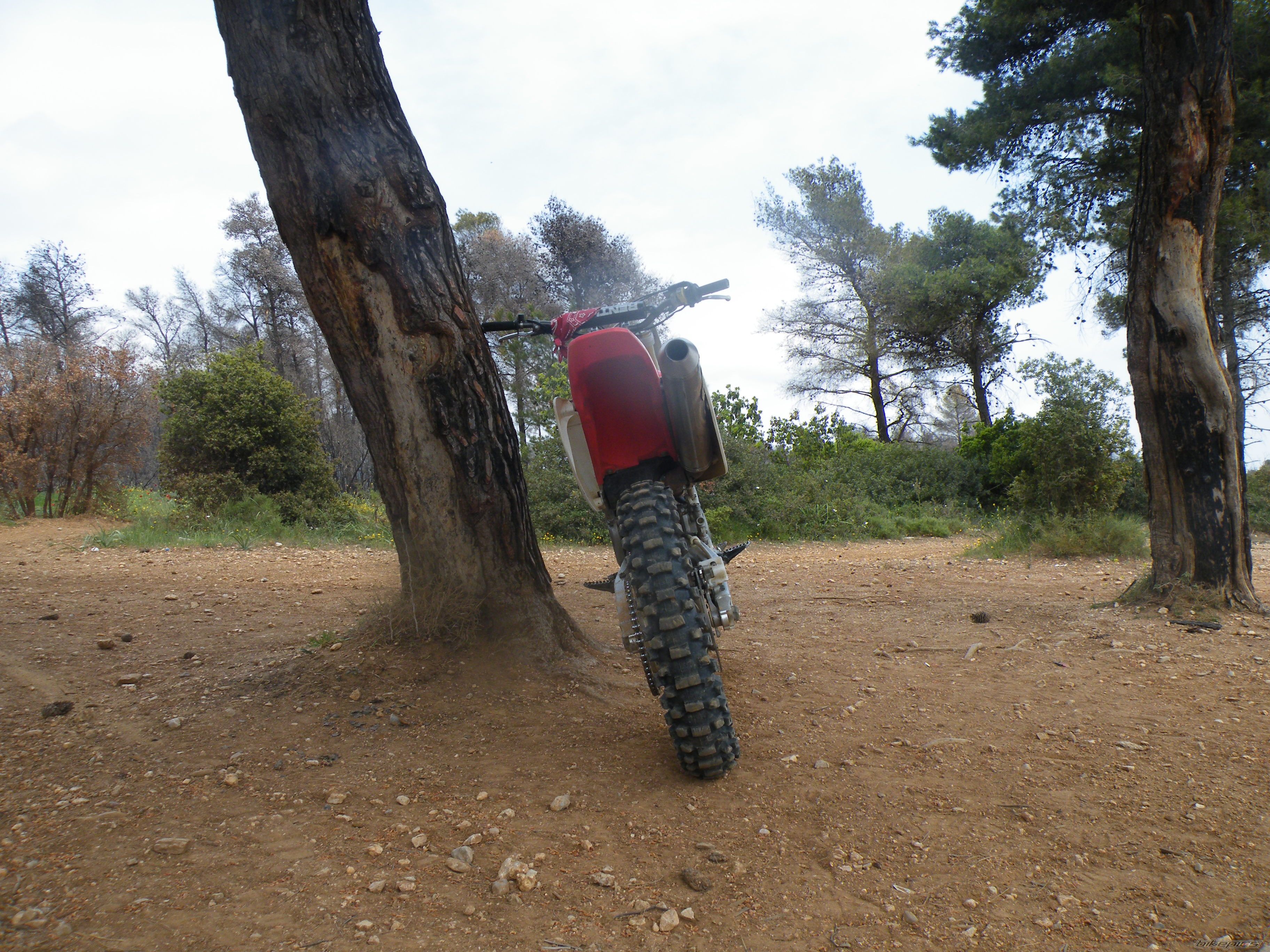 Photo 1648442