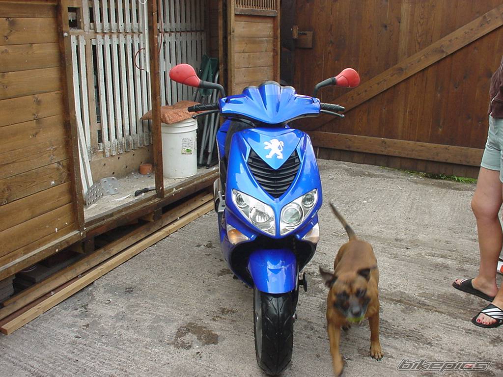 Bike Photo 164850