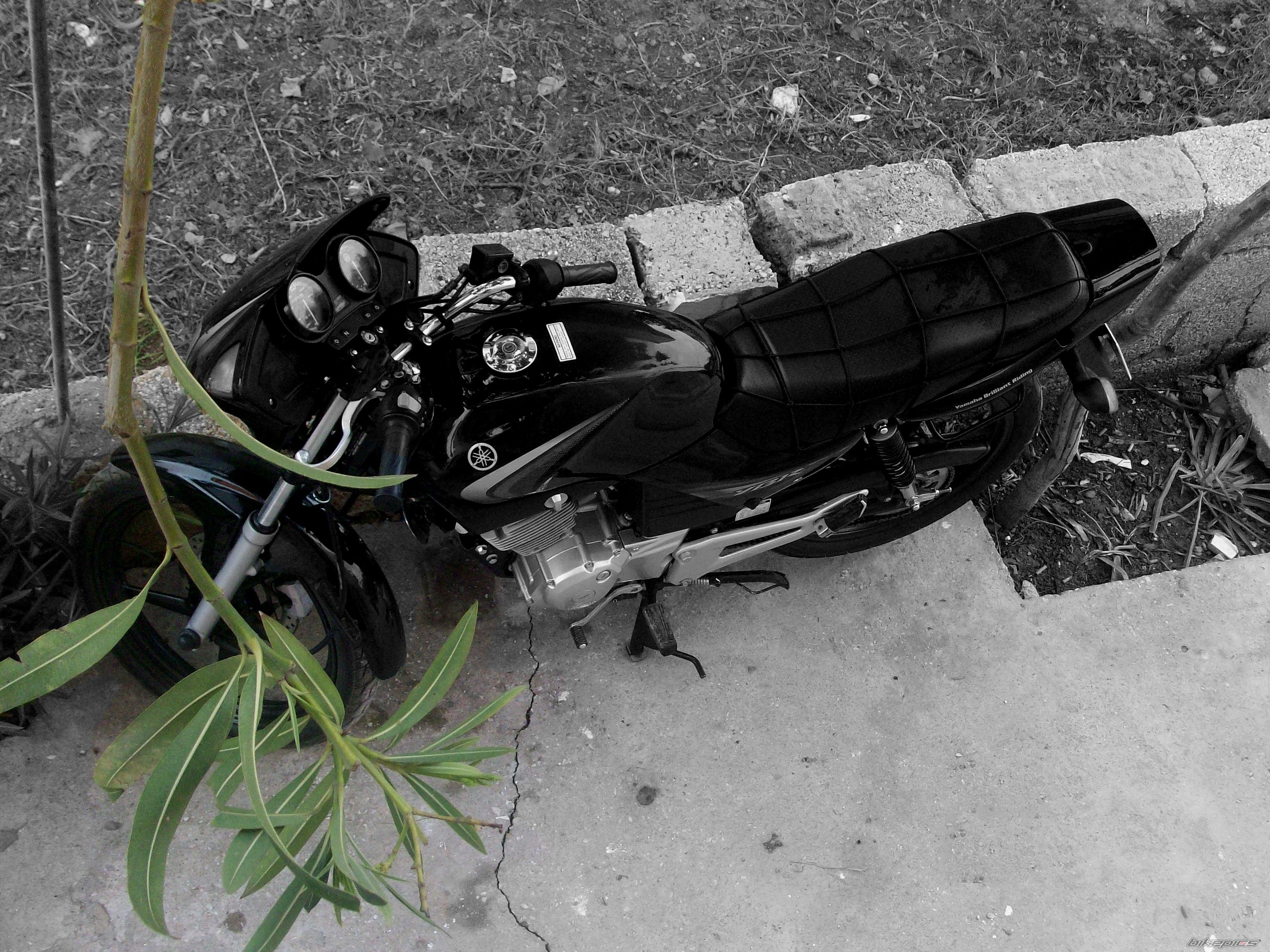 Photo 1648504
