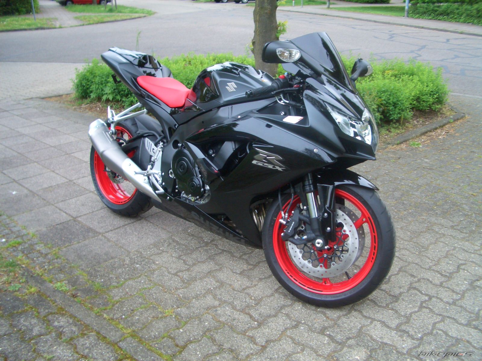 Photo 1648515