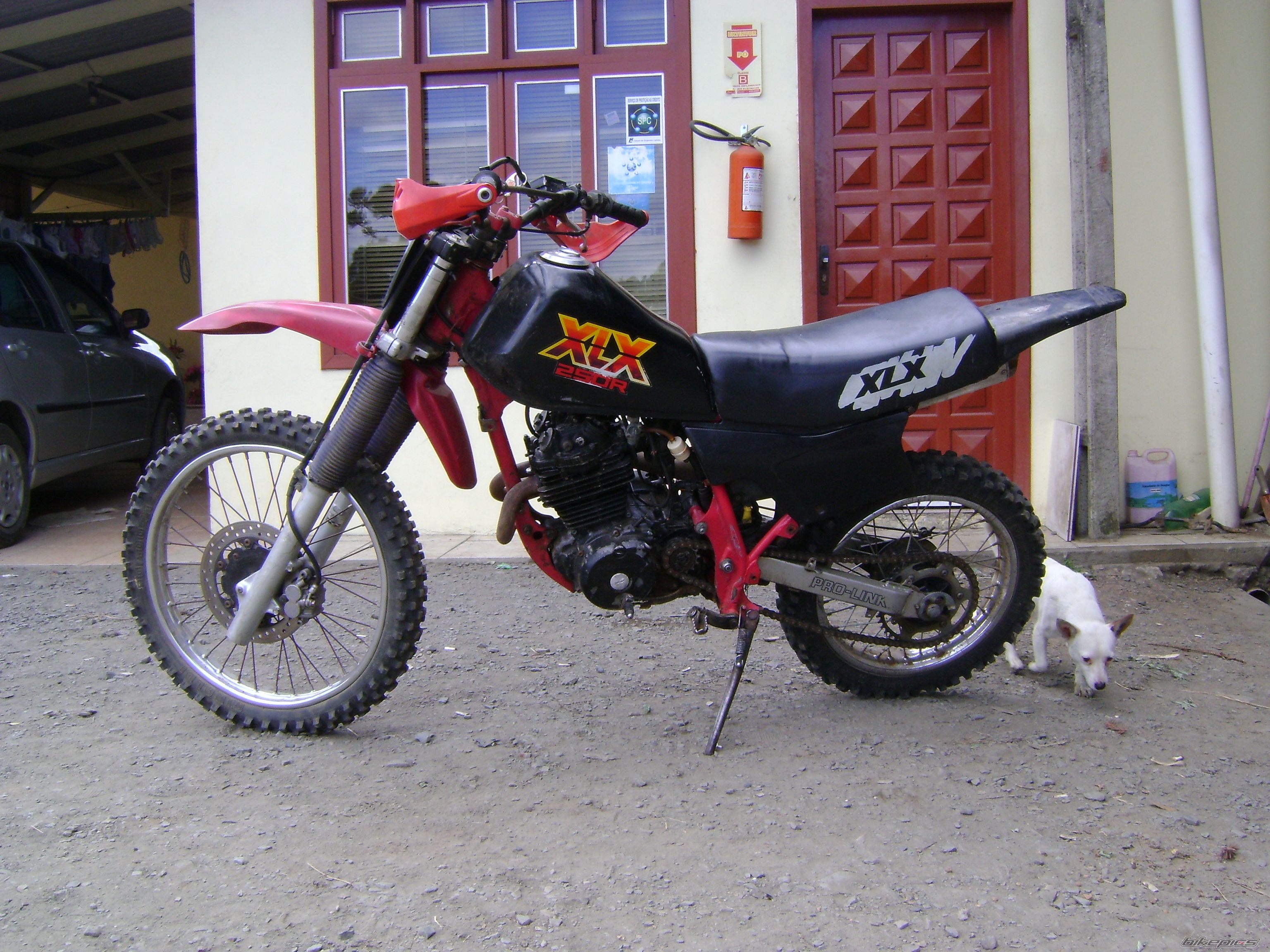Photo 1648592