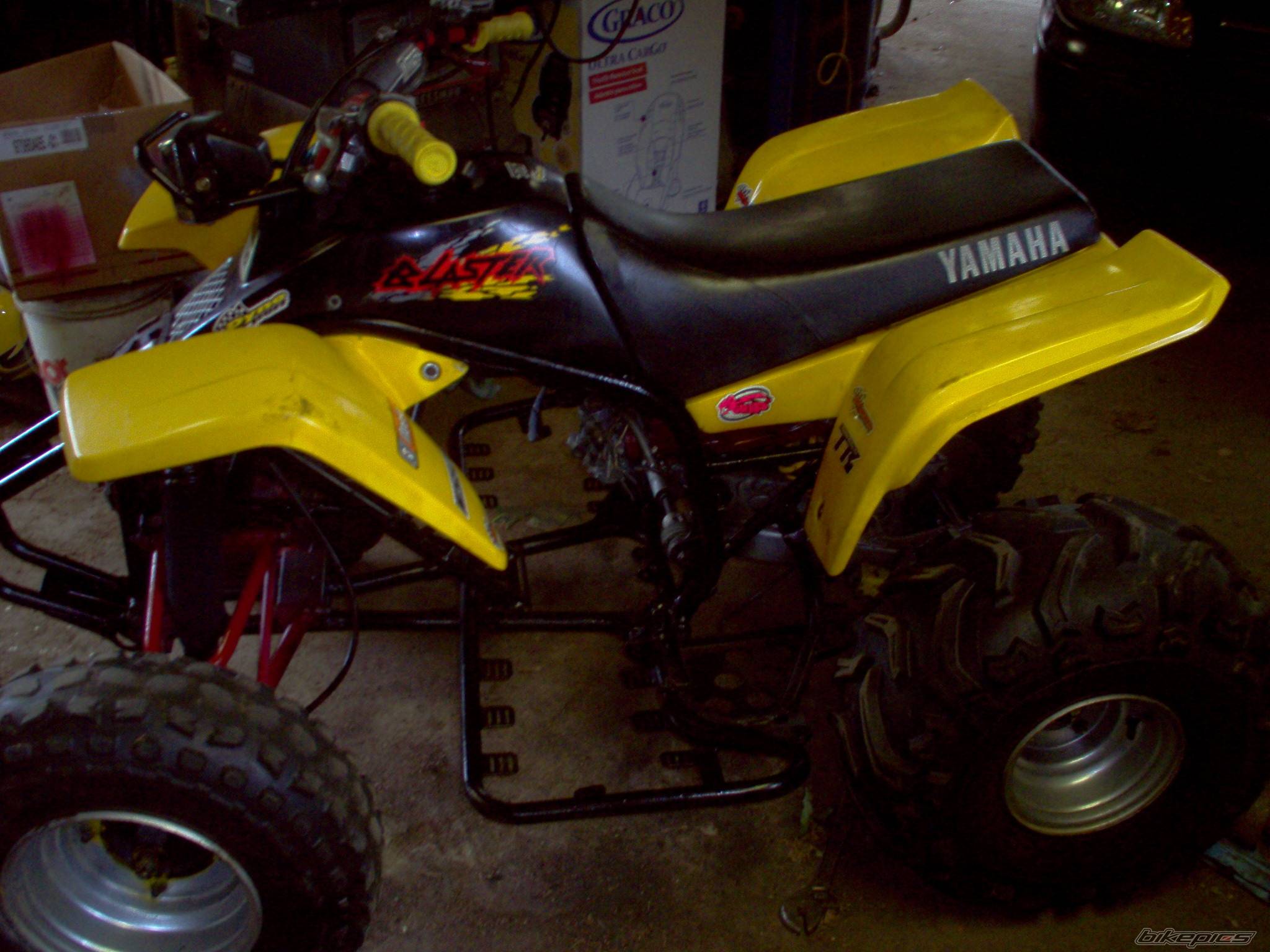 Photo 164861