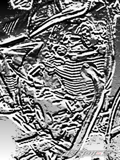 Photo 1648685