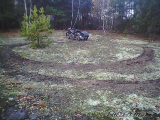 Photo 1648841