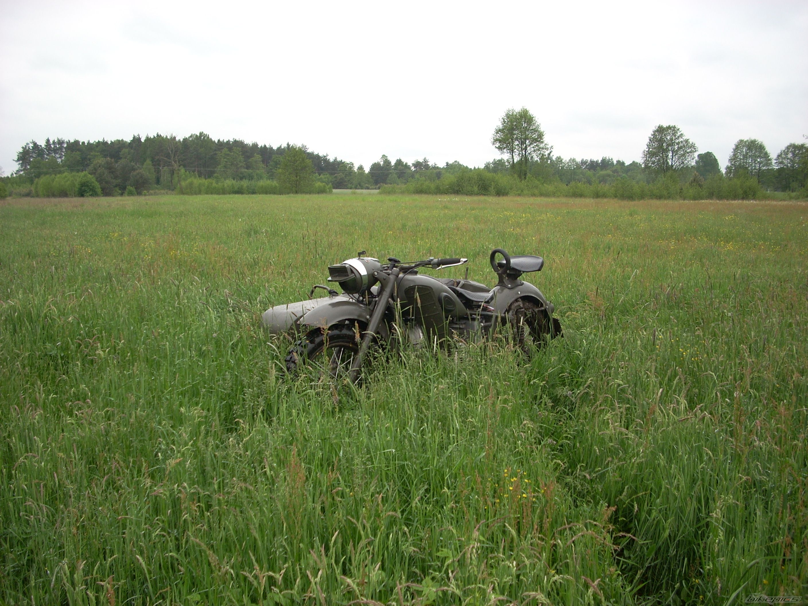 Photo 1648845