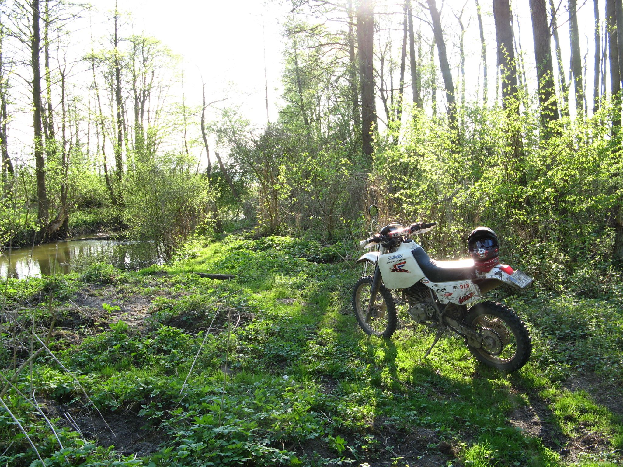 Photo 1648941