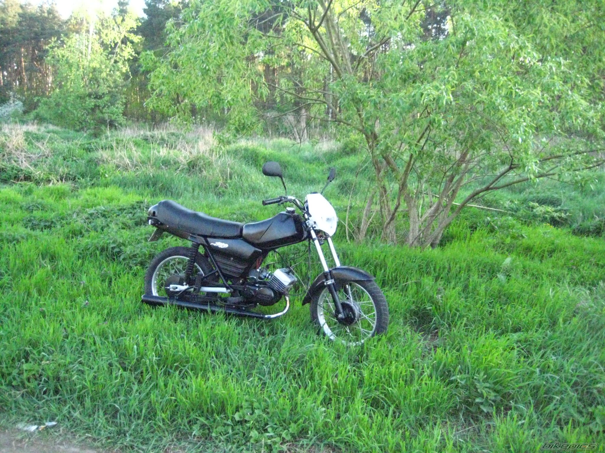 Photo 1648956