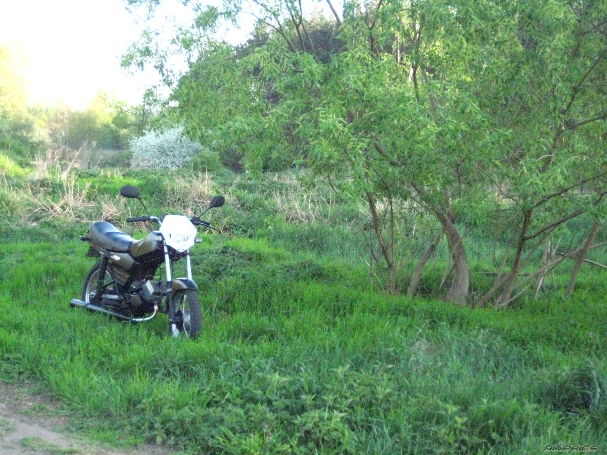 Photo 1648960