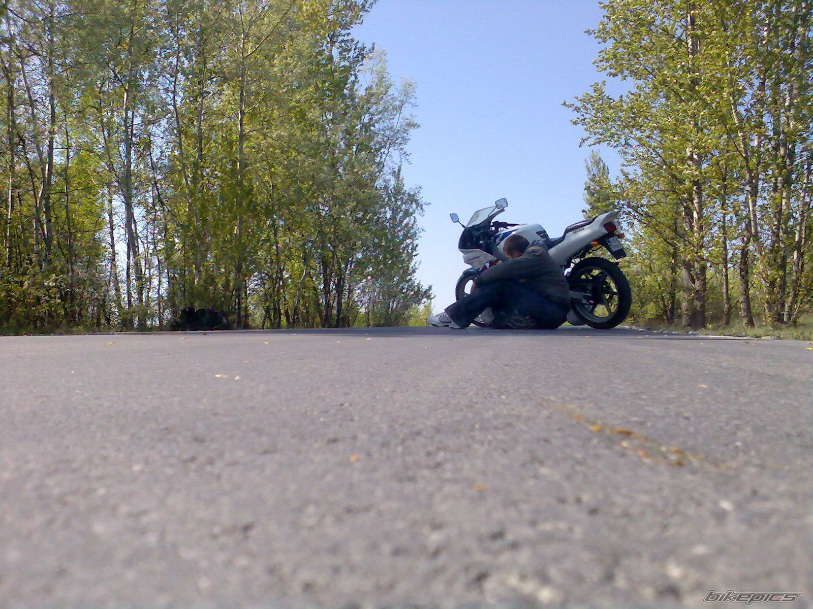 Bike Photo 1648970