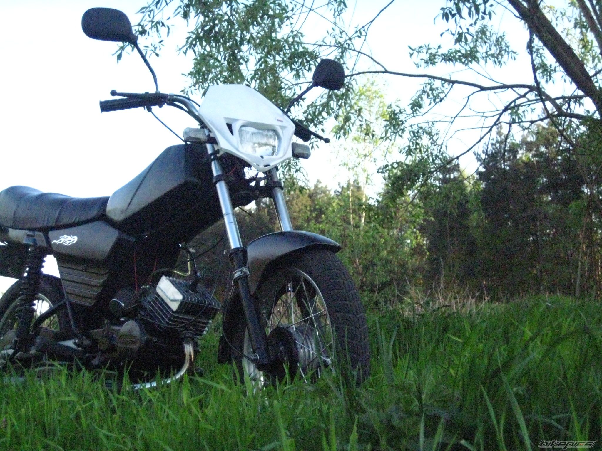 Photo 1648995