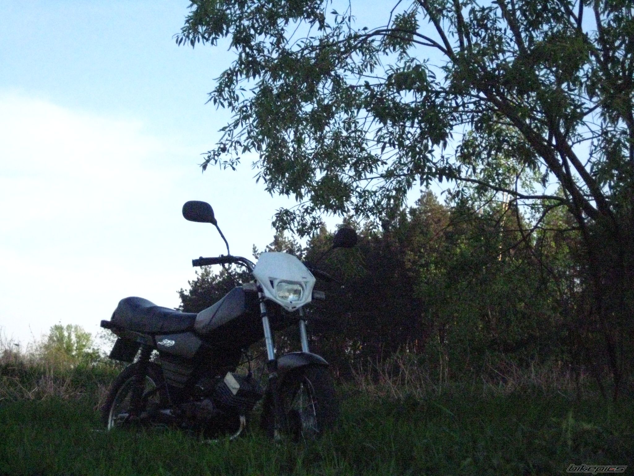 Photo 1648996