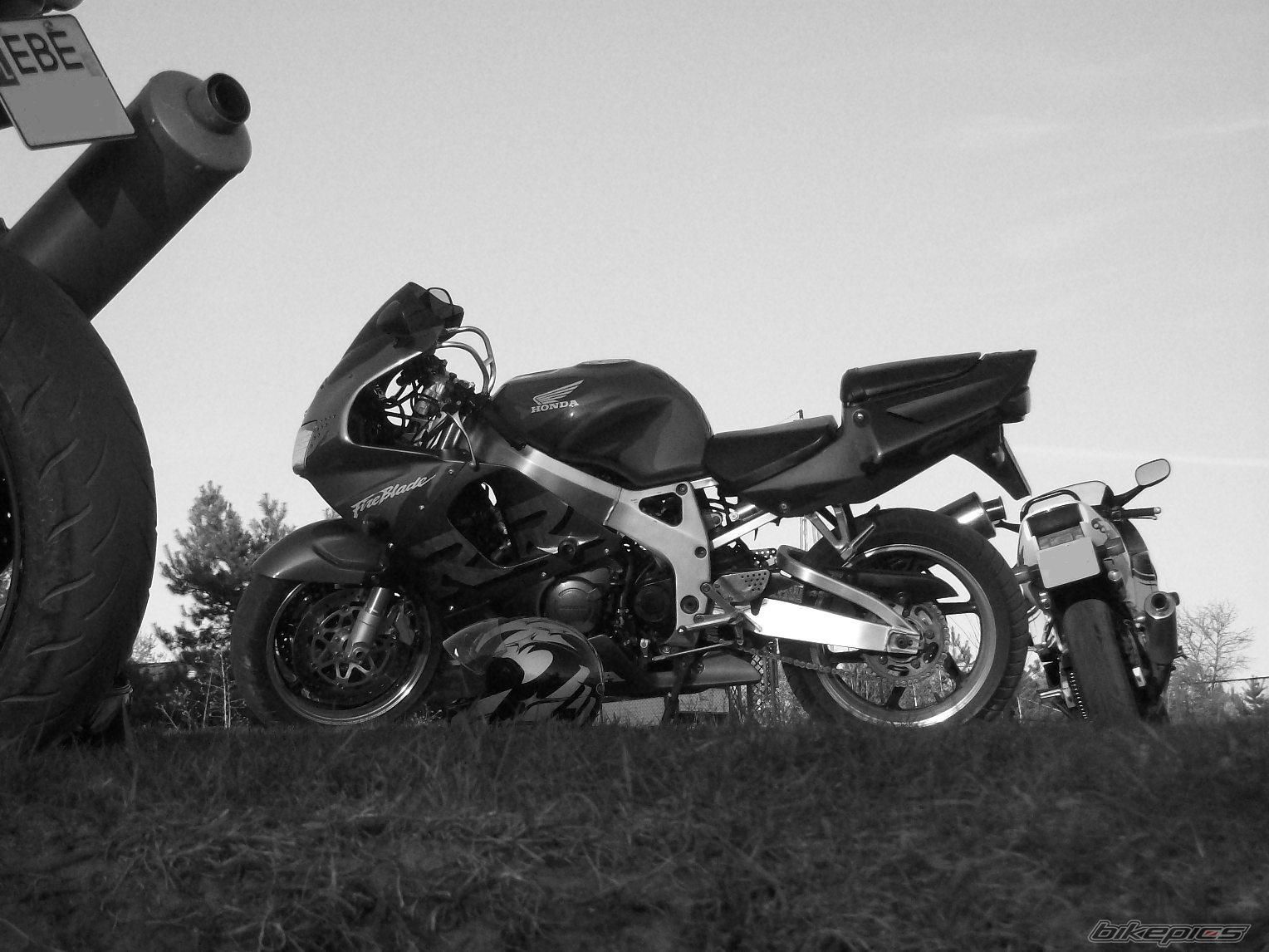Photo 1649038