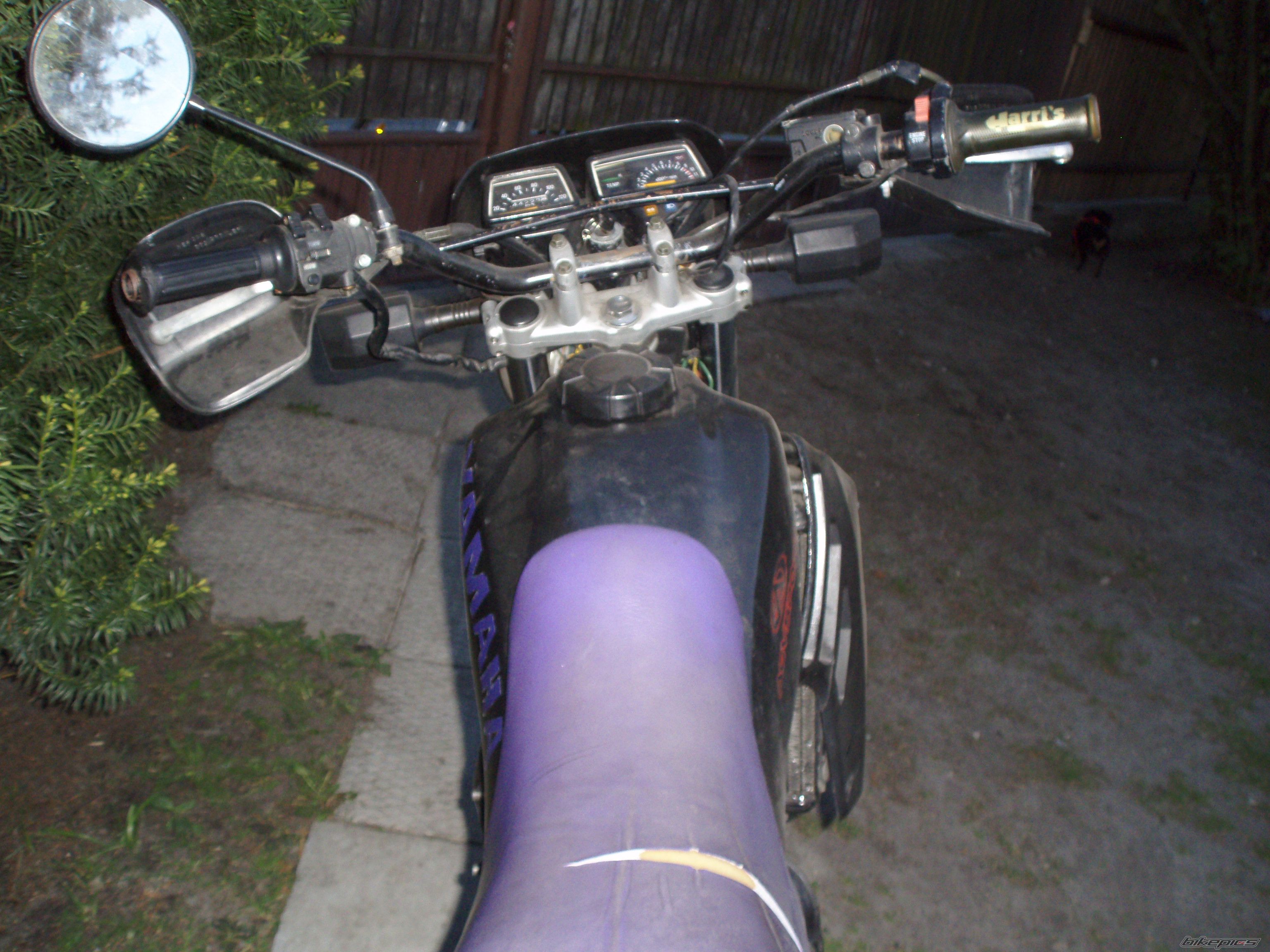 Photo 1649072