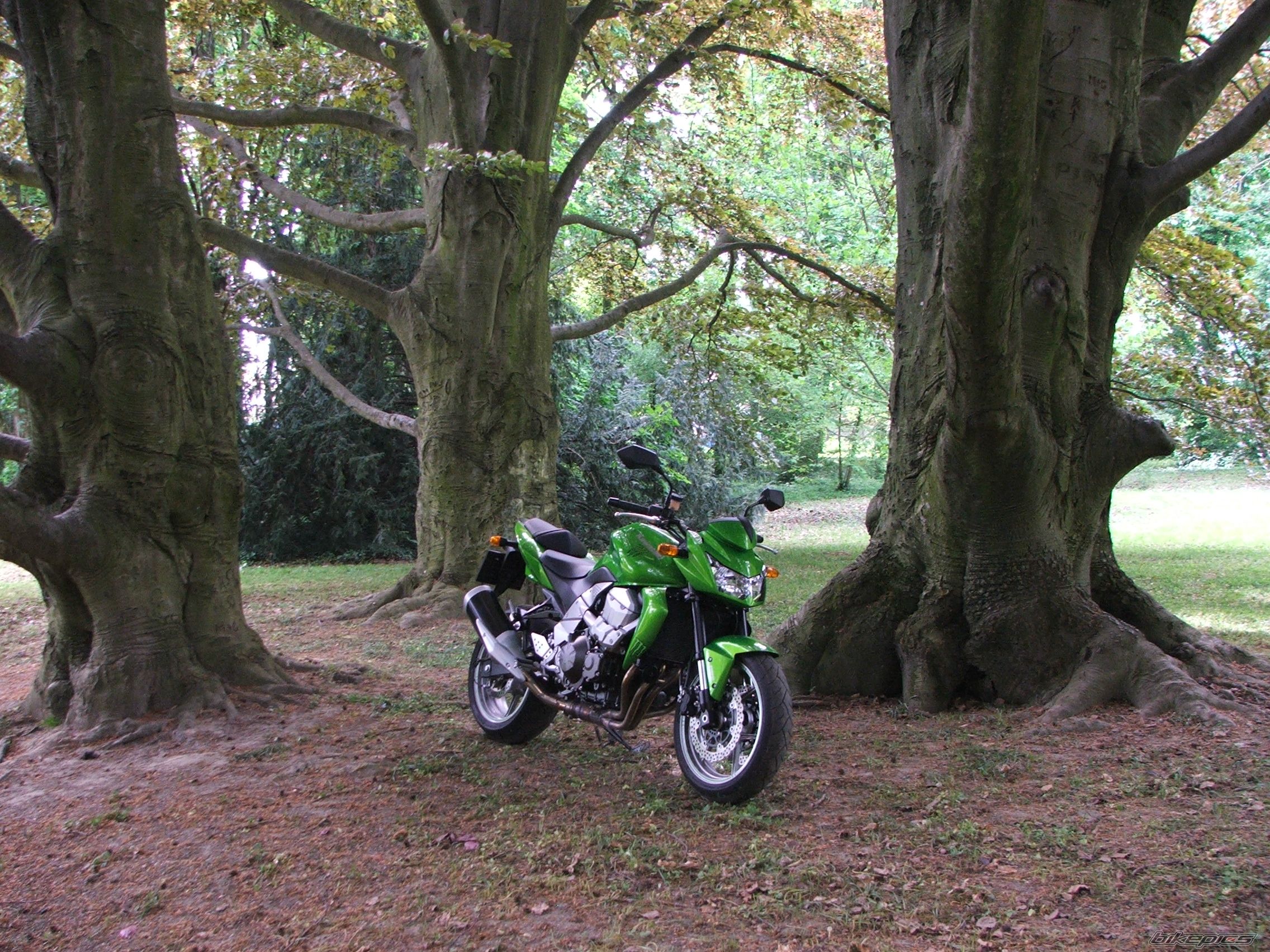 Photo 1649197