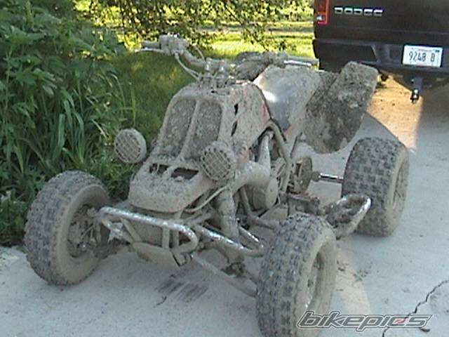 Photo 164924