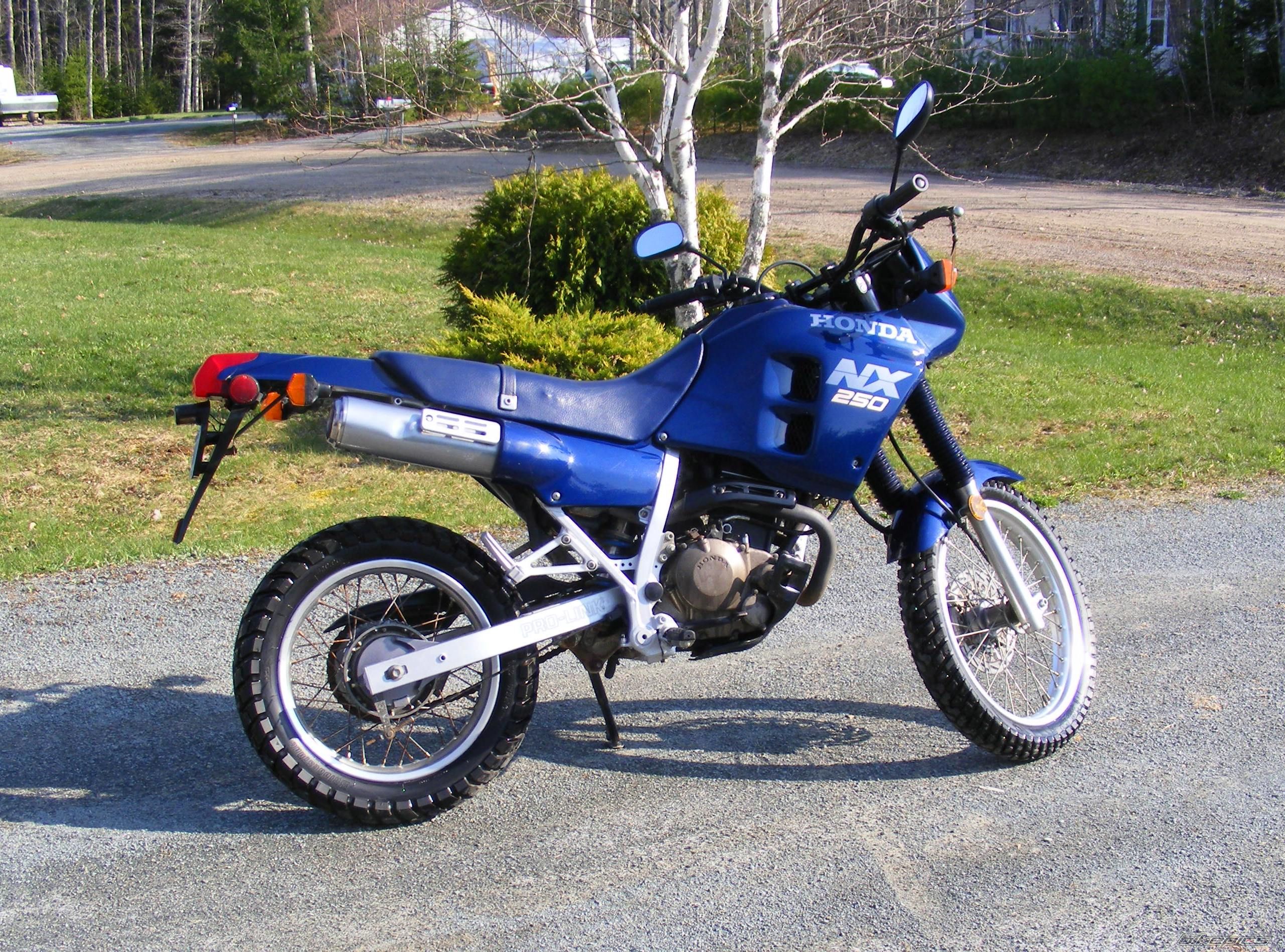 Photo 1649241