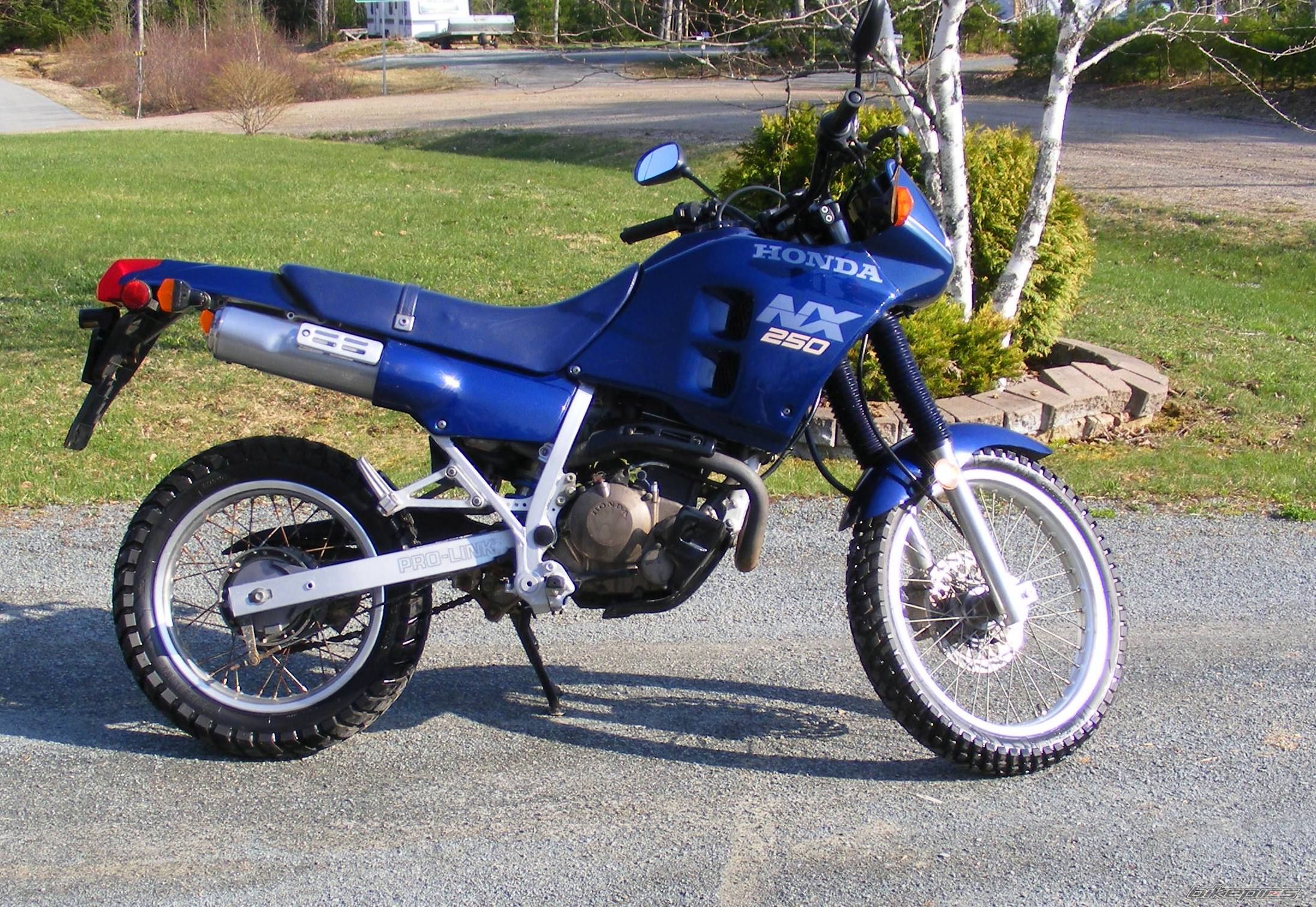 Photo 1649244