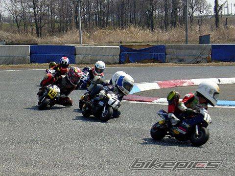 Photo 164930