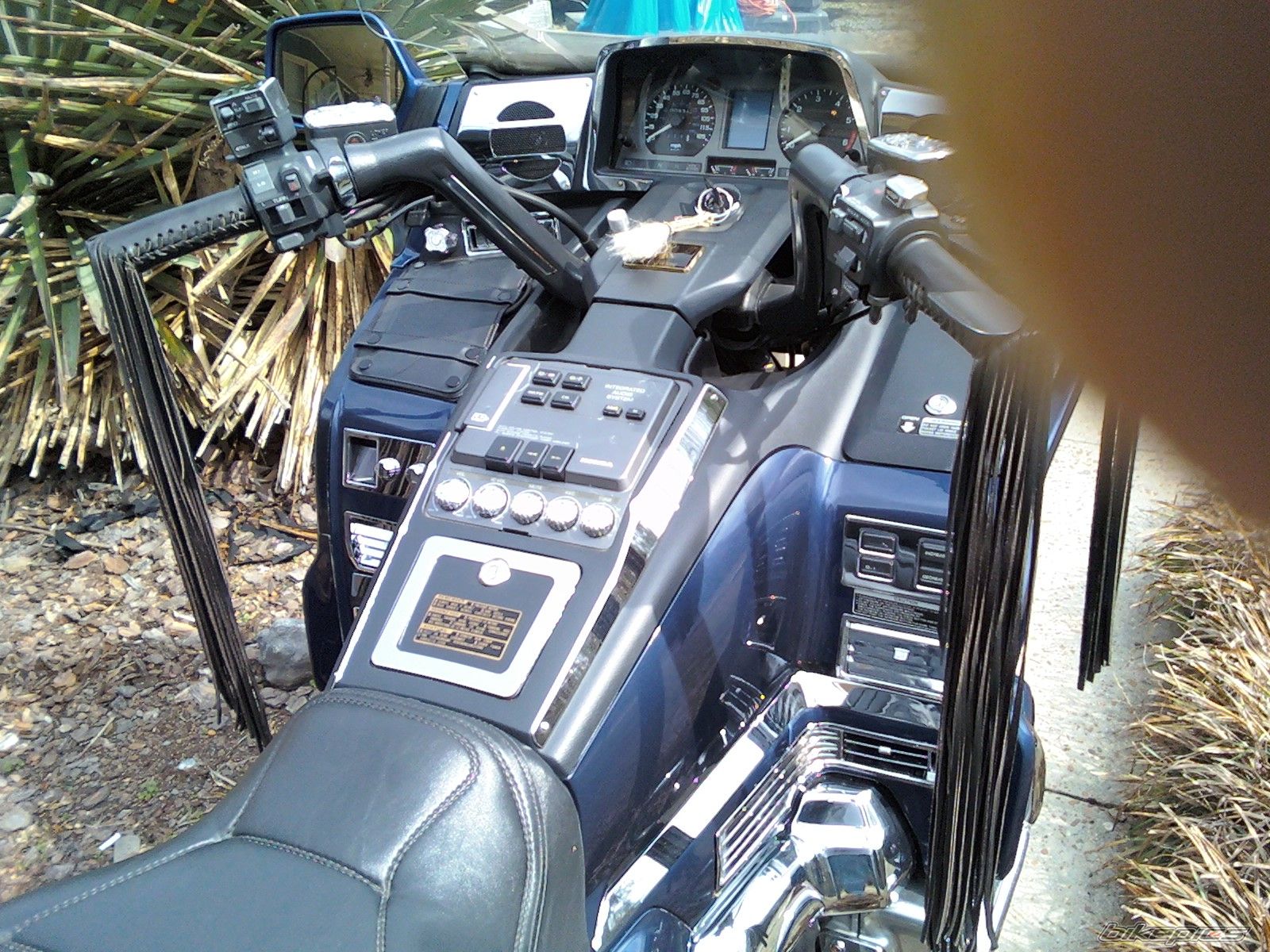 Photo 1649325