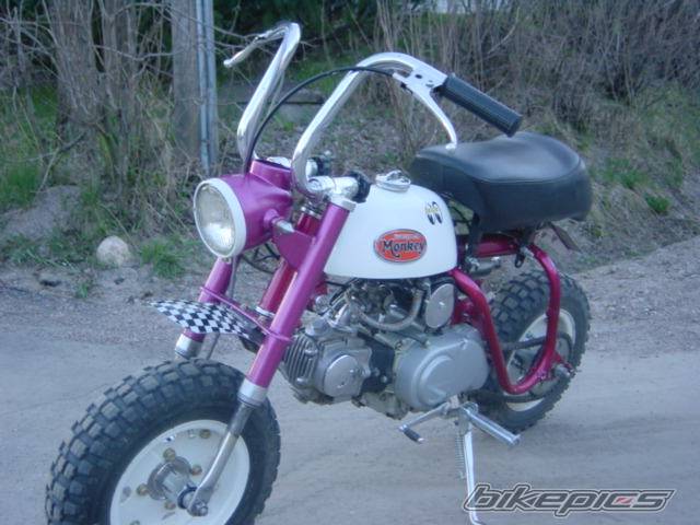 Photo 164948