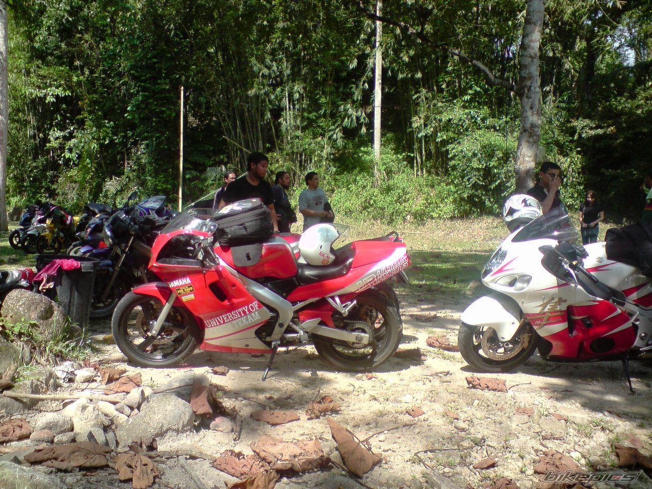 Photo 1649499