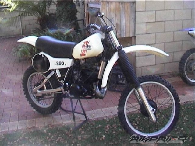 Bike Photo 1649538