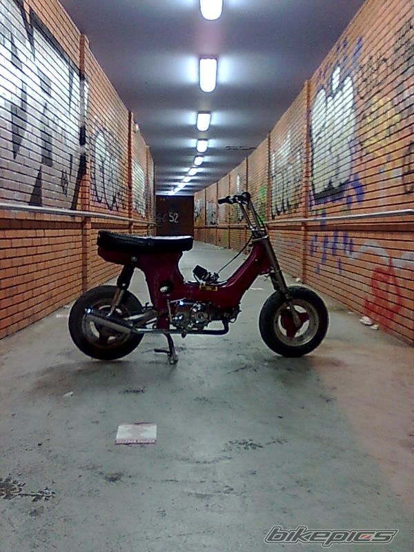 Photo 1649789