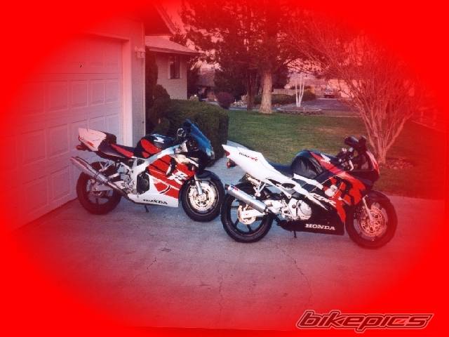 Photo 16498