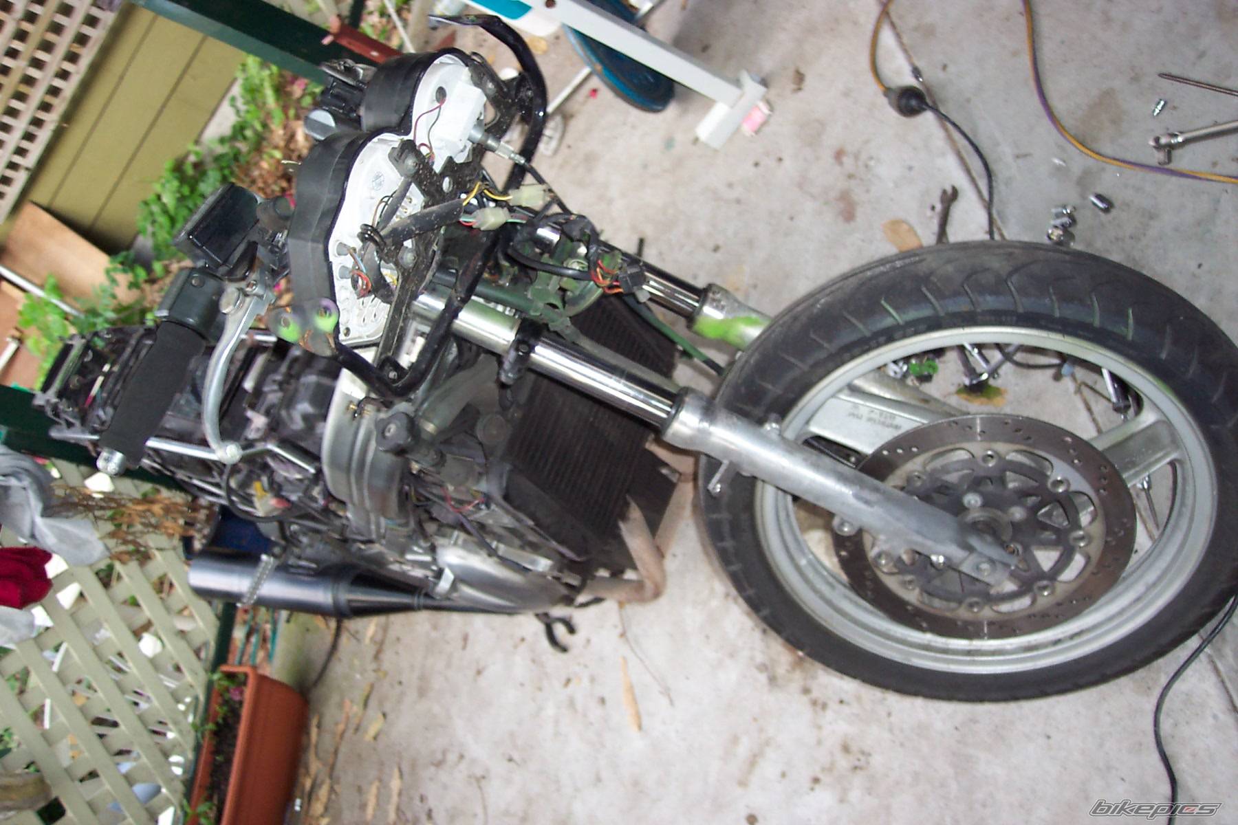 Photo 164980