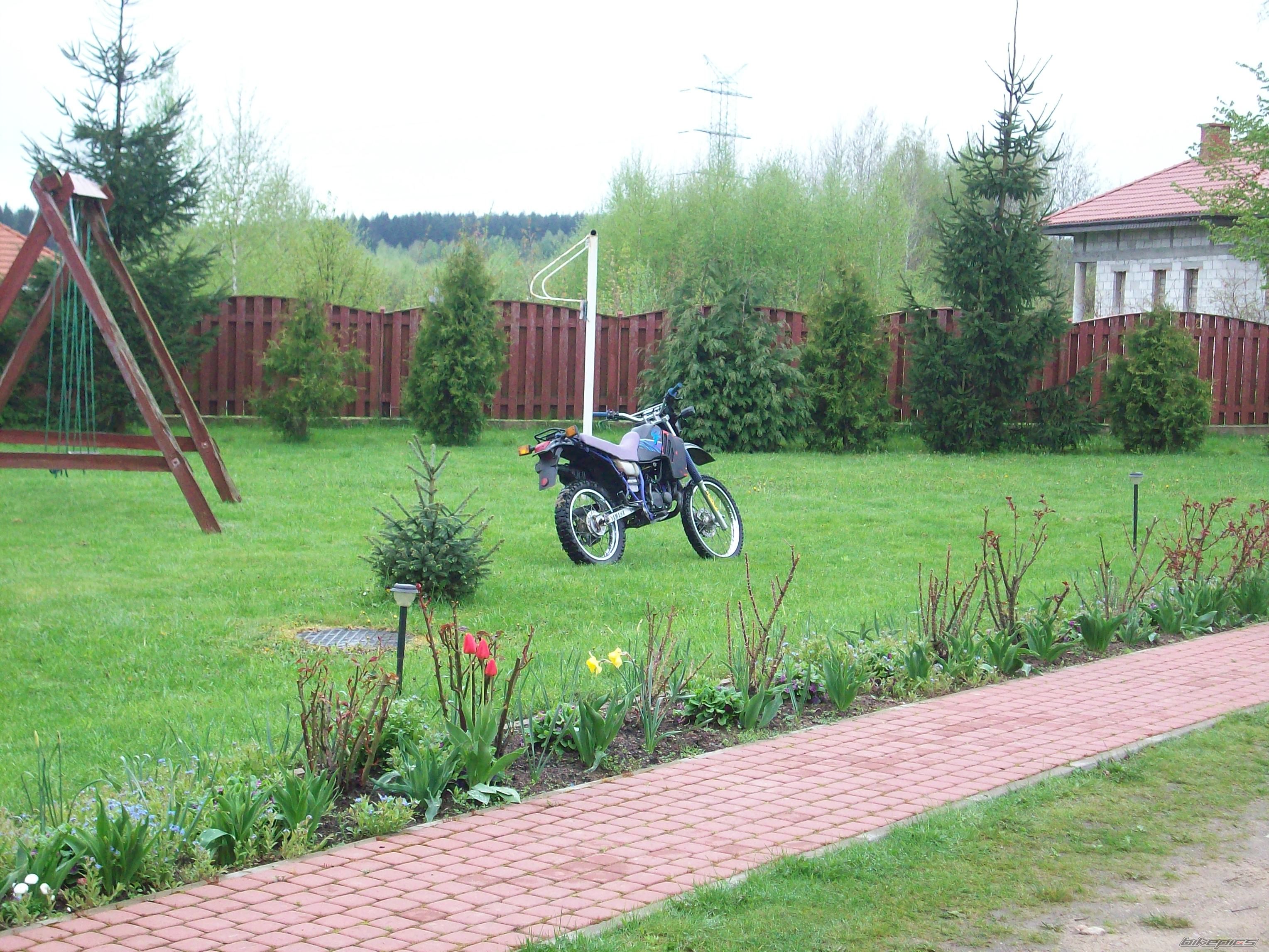 Bike Photo 1649808