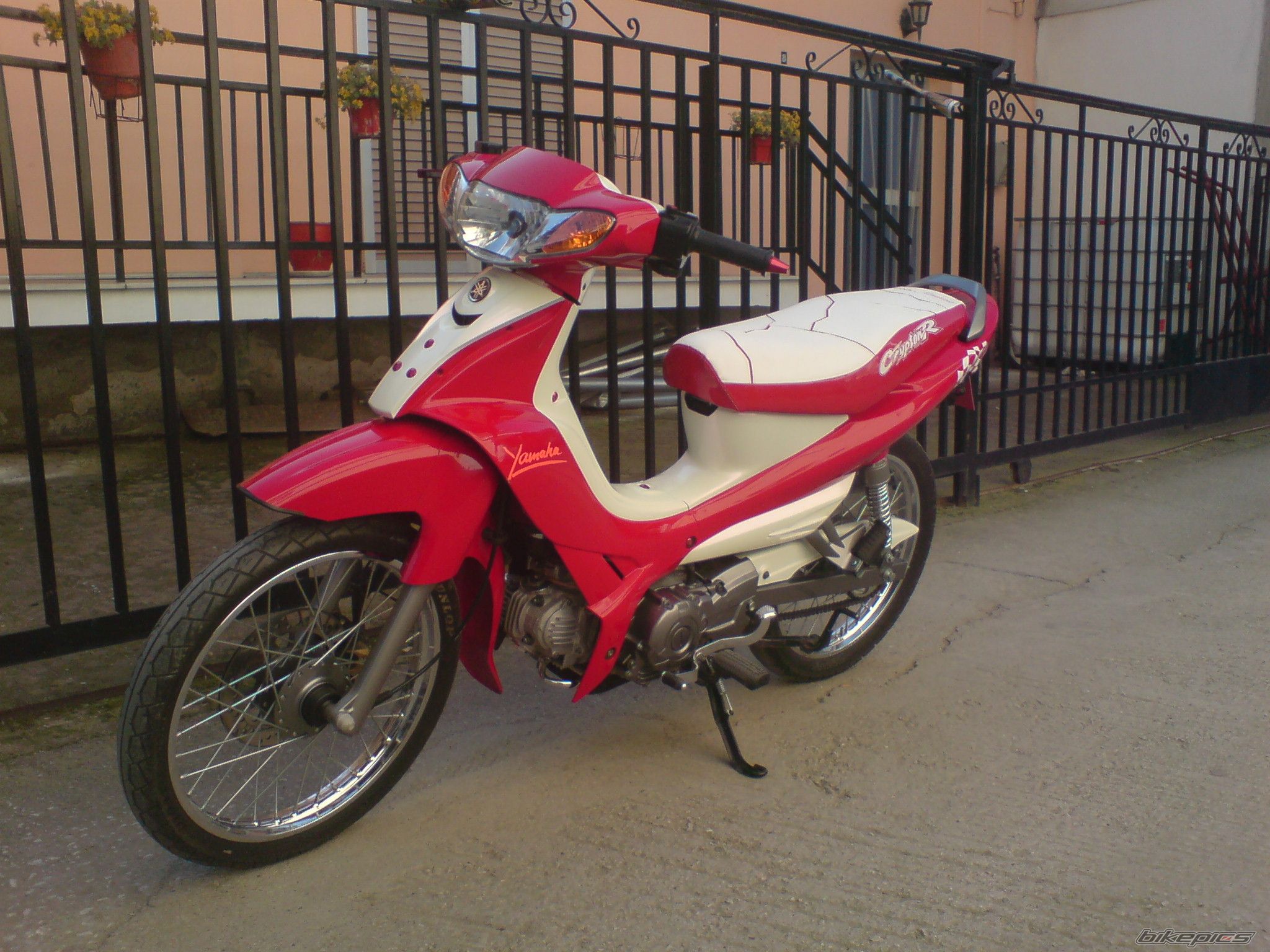 Photo 1649813