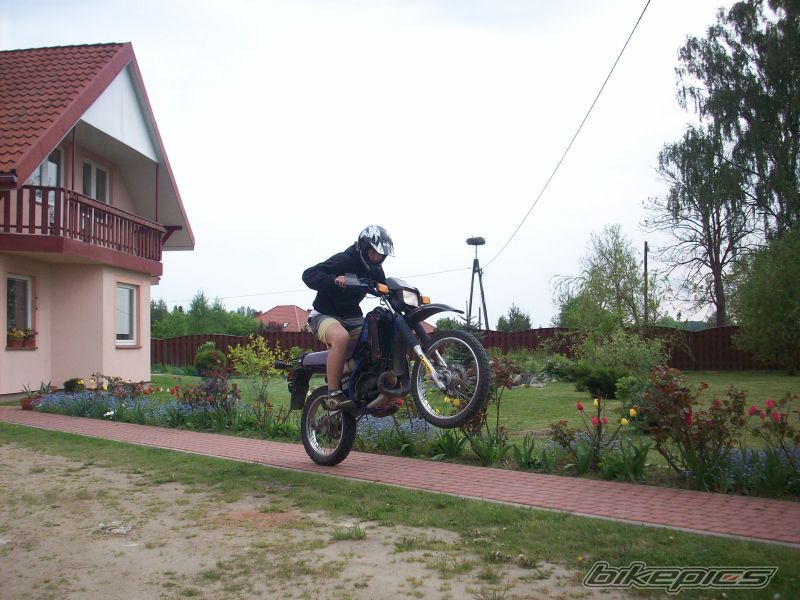 Bike Photo 1649827