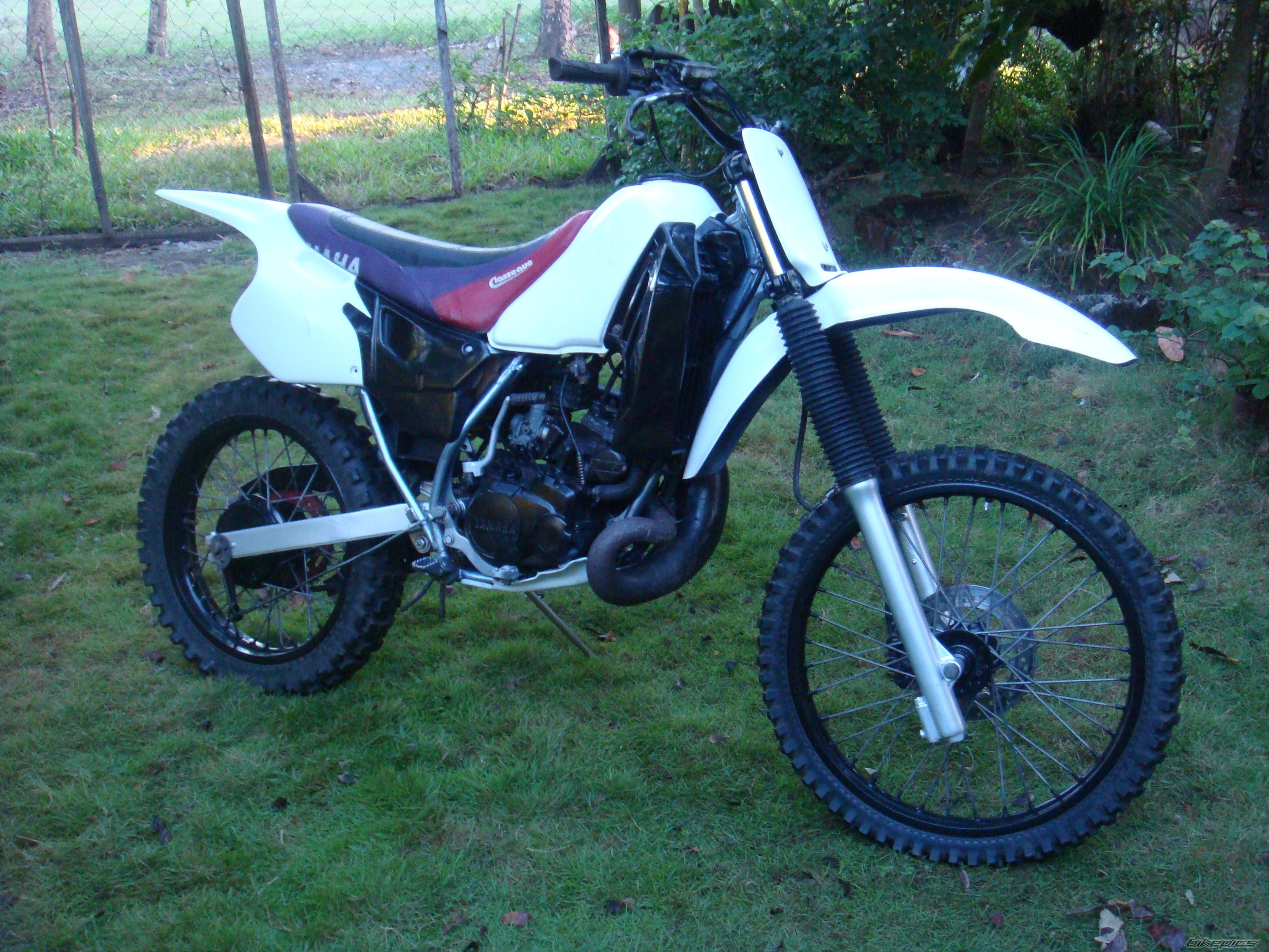Photo 1649845